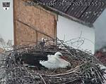 Capi_Dubne_20250426_135503.jpg