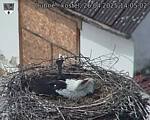 Capi_Dubne_20250426_140502.jpg