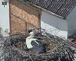 Capi_Dubne_20250426_144003.jpg