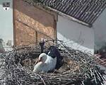 Capi_Dubne_20250426_150502.jpg
