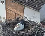 Capi_Dubne_20250426_151503.jpg