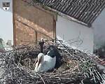 Capi_Dubne_20250426_152003.jpg