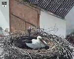 Capi_Dubne_20250426_155502.jpg