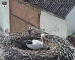 Capi_Dubne_20250426_161002.jpg