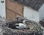Capi_Dubne_20250426_161503.jpg