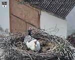 Capi_Dubne_20250426_163503.jpg