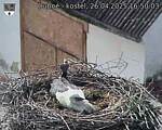 Capi_Dubne_20250426_165003.jpg