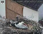 Capi_Dubne_20250426_171003.jpg