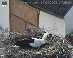 Capi_Dubne_20250426_172003.jpg