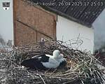 Capi_Dubne_20250426_172503.jpg
