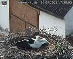 Capi_Dubne_20250426_173003.jpg