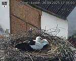 Capi_Dubne_20250426_173503.jpg