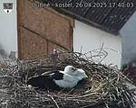 Capi_Dubne_20250426_174003.jpg