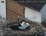 Capi_Dubne_20250426_174503.jpg