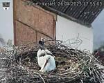 Capi_Dubne_20250426_175503.jpg