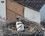 Capi_Dubne_20250426_180003.jpg