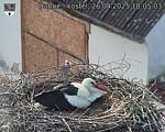 Capi_Dubne_20250426_180503.jpg
