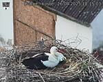 Capi_Dubne_20250426_181503.jpg