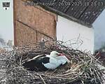 Capi_Dubne_20250426_182003.jpg