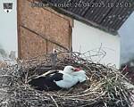 Capi_Dubne_20250426_182503.jpg