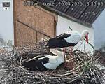 Capi_Dubne_20250426_183003.jpg