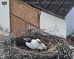 Capi_Dubne_20250426_183503.jpg