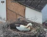 Capi_Dubne_20250426_184003.jpg