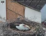 Capi_Dubne_20250426_184503.jpg