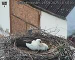 Capi_Dubne_20250426_185003.jpg