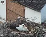 Capi_Dubne_20250426_185503.jpg