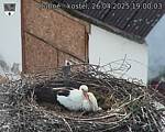 Capi_Dubne_20250426_190003.jpg