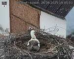 Capi_Dubne_20250426_190503.jpg