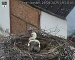Capi_Dubne_20250426_191003.jpg
