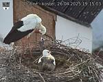 Capi_Dubne_20250426_191503.jpg