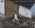 Capi_Dubne_20250426_192502.jpg