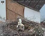 Capi_Dubne_20250426_193003.jpg