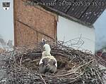 Capi_Dubne_20250426_193503.jpg