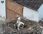 Capi_Dubne_20250426_194003.jpg