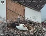 Capi_Dubne_20250426_194503.jpg