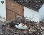 Capi_Dubne_20250426_195003.jpg