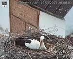 Capi_Dubne_20250426_200003.jpg