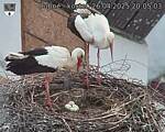 Capi_Dubne_20250426_200503.jpg