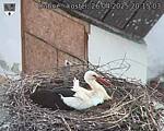Capi_Dubne_20250426_201503.jpg