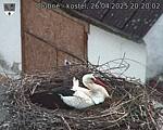 Capi_Dubne_20250426_202002.jpg