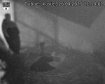 Capi_Dubne_20250426_211002.jpg