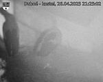 Capi_Dubne_20250426_212502.jpg