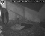 Capi_Dubne_20250426_214002.jpg