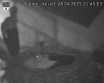 Capi_Dubne_20250426_214503.jpg