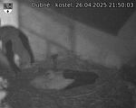 Capi_Dubne_20250426_215003.jpg