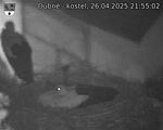 Capi_Dubne_20250426_215502.jpg